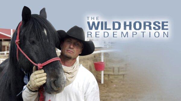 The Wild Horse Redemption