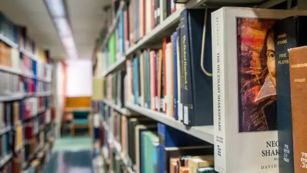 Court Rules 8 Books Containing Sexual, Racial Content Must Return to Texas County’s Library Shelves